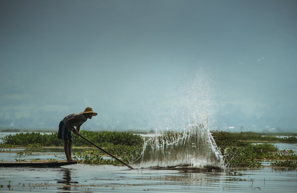 Photo of a fisherman hitting water with paddle to scare fish to his net nearby.