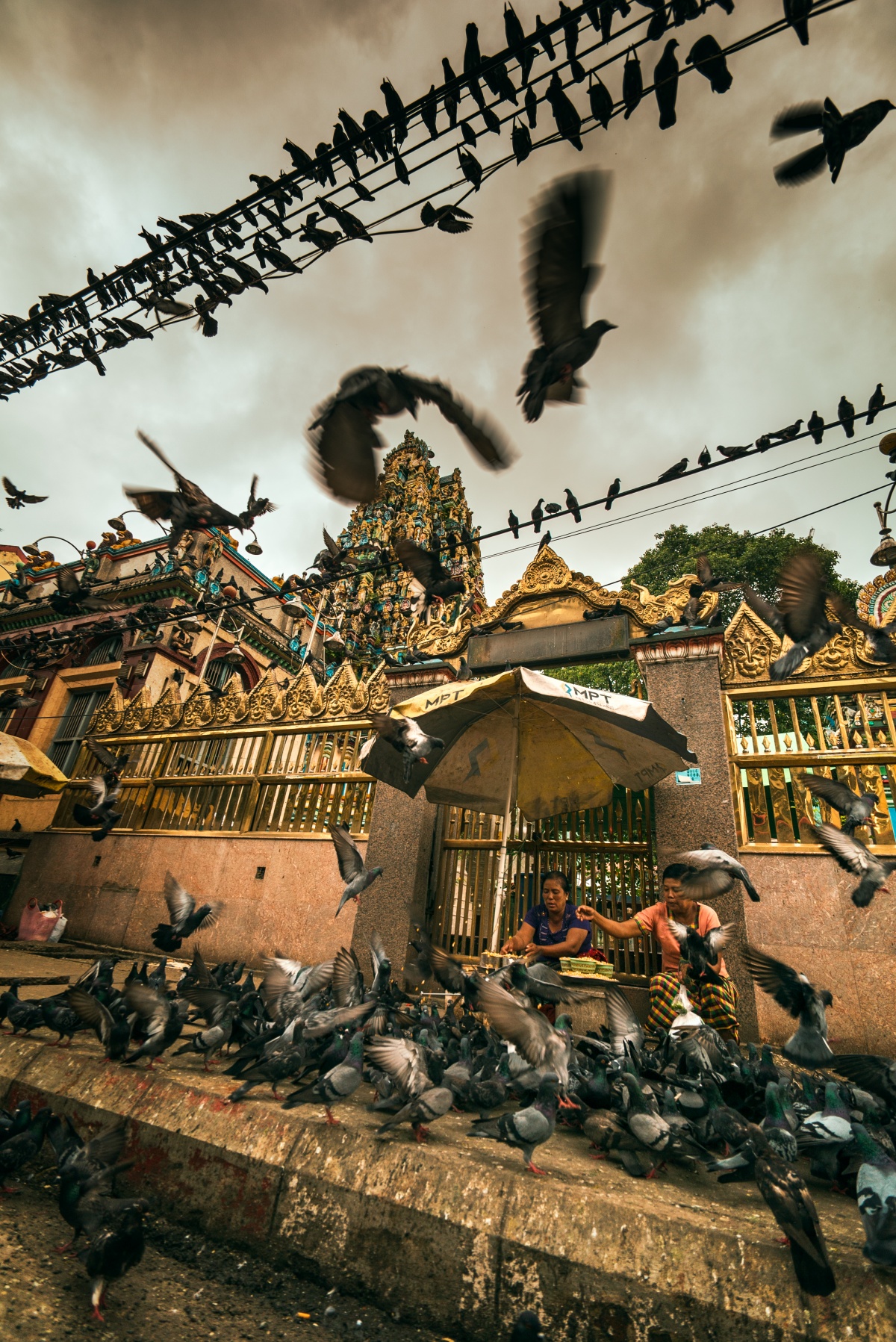 Photo of lots of pigeons and a hindu temple in background