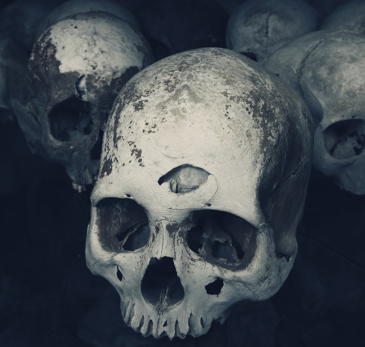 Photo of several real human skulls in Killing Fields of Cambodia