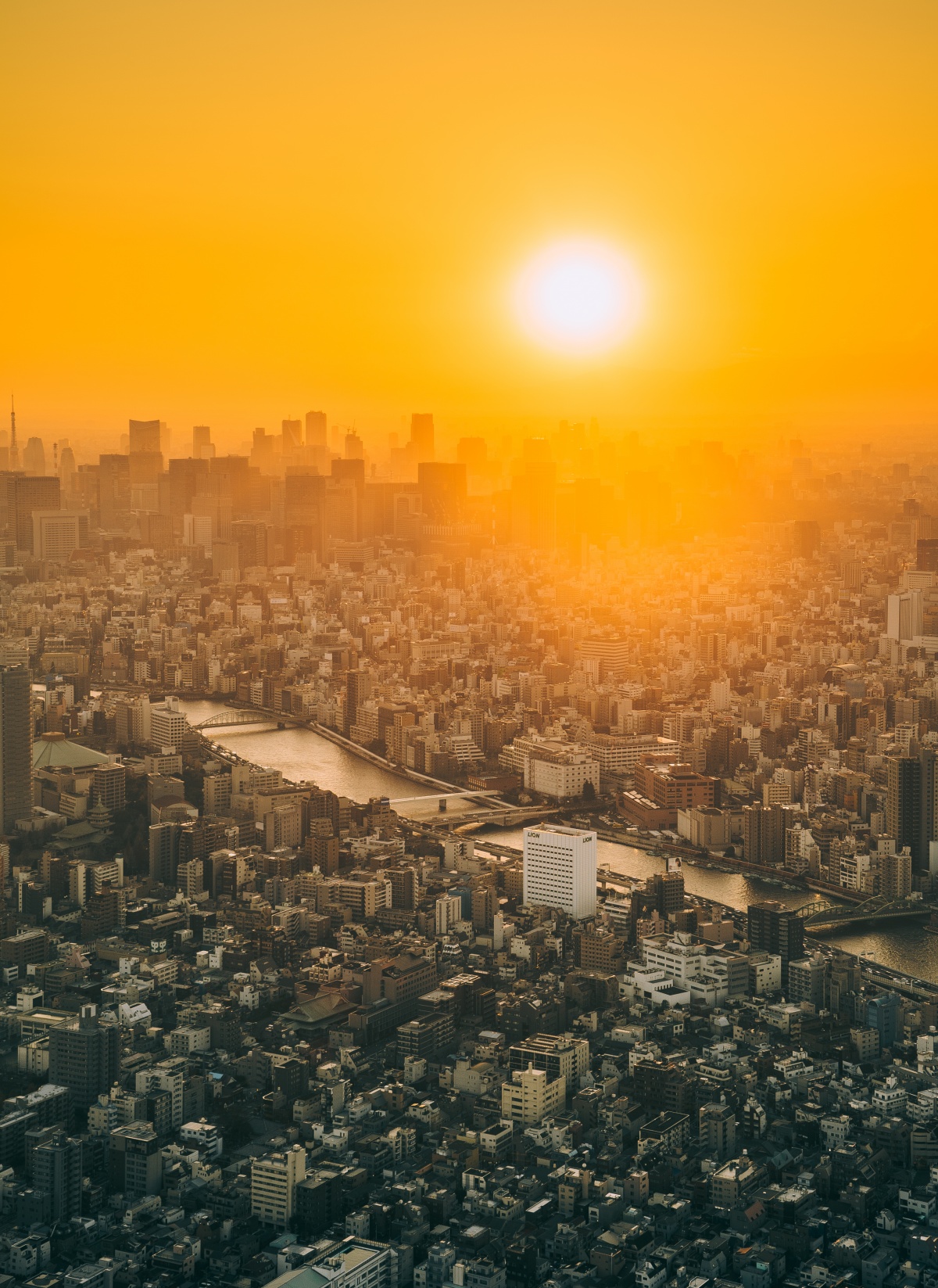 Picture of a beautiful sunset over Tokyo skyline from Tokyo Skytree