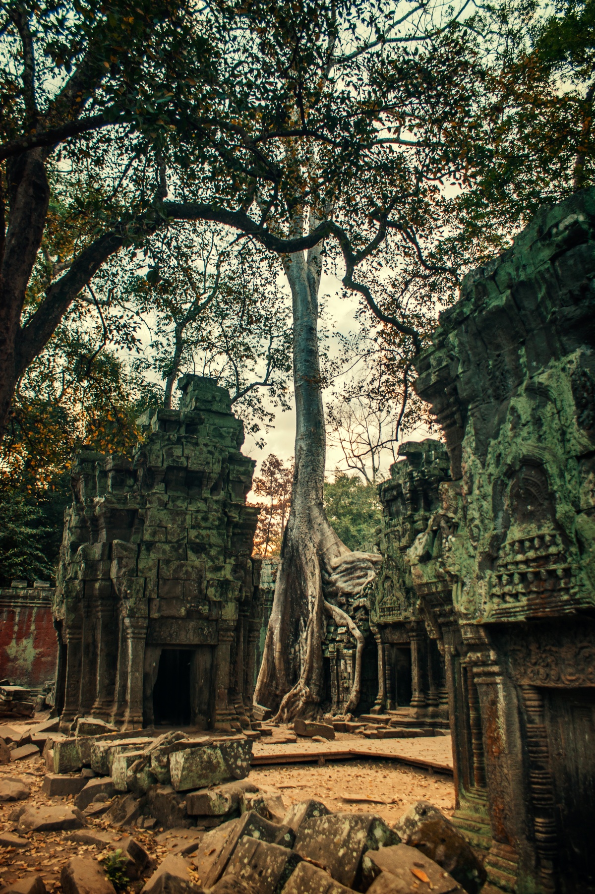 Photo of legendary Tomb Raider temple of Ta Prohm at sunrise