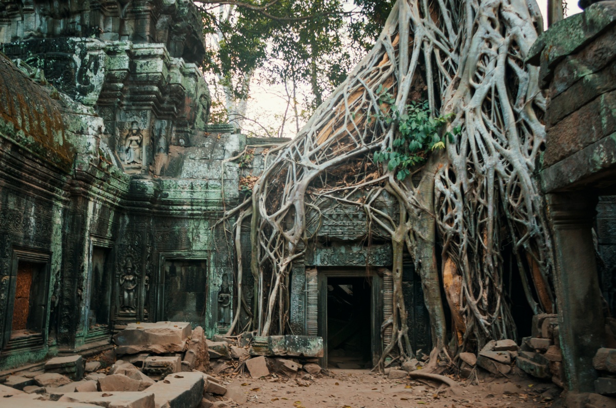 Photo of Ta Prohm temple ruins